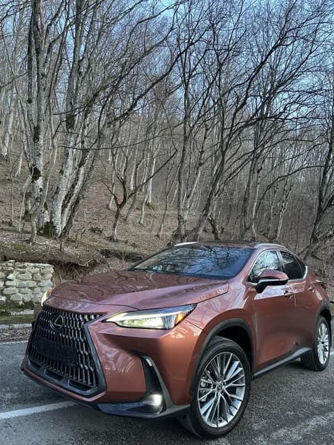 Lexus NX 350 2024 купить в Москве